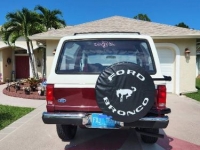 1988 Ford Bronco for sale in Michigan (ID-120042)