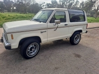1988 Ford Bronco for sale in Michigan (ID-126593)