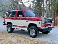 1988 Ford Bronco for sale in Michigan (ID-161497)