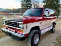 1988 Ford Bronco for sale in Michigan (ID-161497)