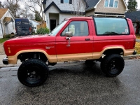 1988 Ford Bronco for sale in Michigan (ID-161633)