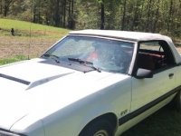1988 Ford Mustang for sale in Michigan (ID-96948)