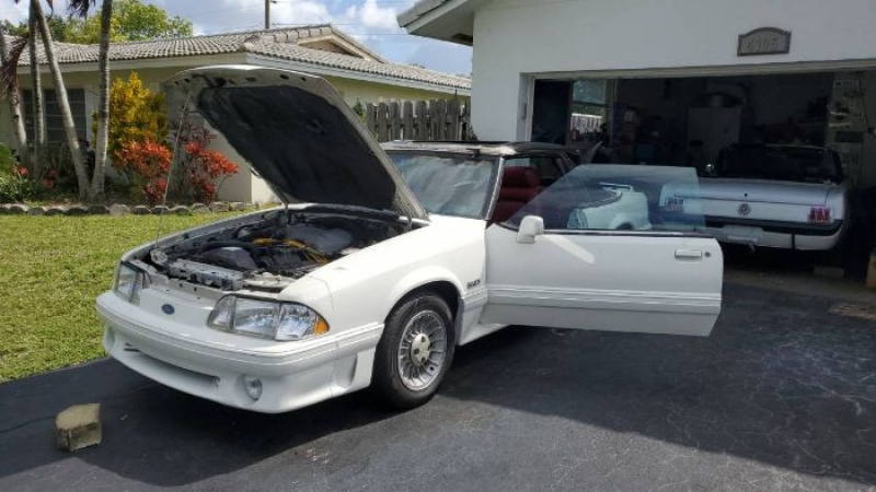 1988 Ford Mustang for sale in Michigan (ID-101495) 1988 Ford Mustang for sale in Michigan (ID-101495)