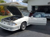 1988 Ford Mustang for sale in Michigan (ID-101495)