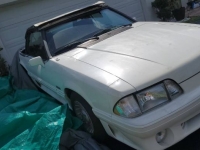 1988 Ford Mustang for sale in Michigan (ID-101495)