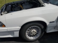 1988 Ford Mustang for sale in Michigan (ID-101495)