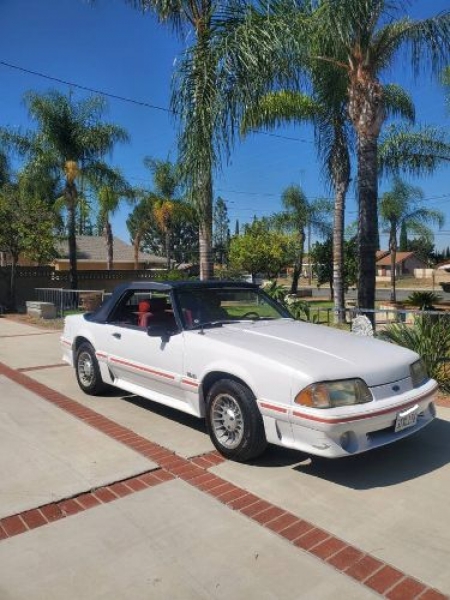 1988 Ford Mustang for sale in Michigan (ID-116579) 1988 Ford Mustang for sale in Michigan (ID-116579)