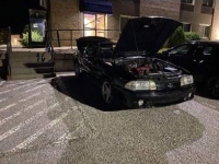 1988 Ford Mustang for sale in Michigan (ID-120182)