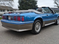 1988 Ford Mustang for sale in Riverhead, New York (ID-128029)