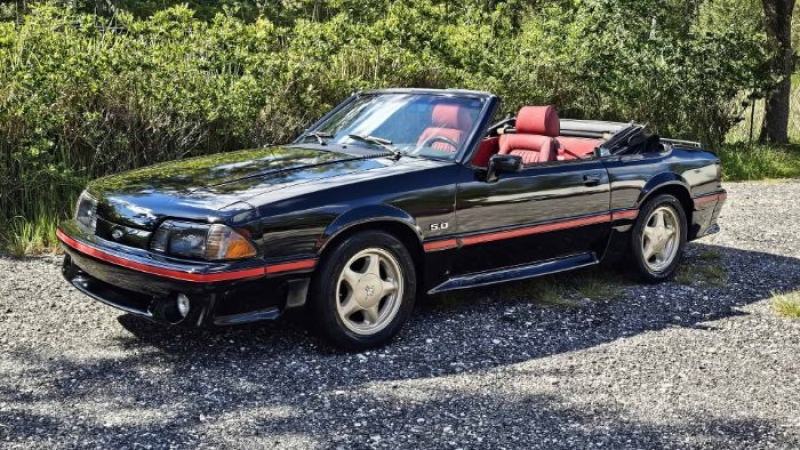 1988 Ford Mustang for sale in Michigan (ID-146209)