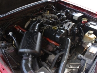 1988 Ford Mustang for sale (ID-163561)