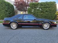 1988 Ford Mustang GT for sale in Michigan (ID-146713)