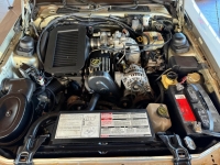 1988 Ford Thunderbird for sale (ID-127522)