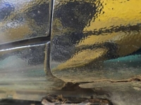 1988 Ford Thunderbird for sale in Michigan (ID-162084)