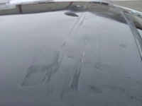 1988 Ford Thunderbird for sale in Michigan (ID-162084)