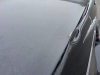 1988 Ford Thunderbird for sale in Michigan (ID-162084)