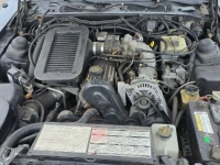 1988 Ford Thunderbird for sale in Michigan (ID-162084)