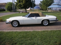 1988 Jaguar XJS for sale in Michigan (ID-113518)