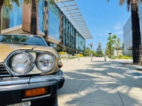 1988 Jaguar XJS for sale in Michigan (ID-120907)