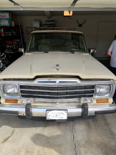 1988 Jeep Grand Wagoneer for sale in Michigan (ID-117321)