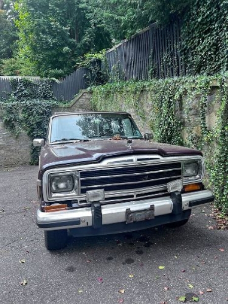 1988 Jeep Grand Wagoneer for sale in Michigan (ID-134356) 1988 Jeep Grand Wagoneer for sale in Michigan (ID-134356)