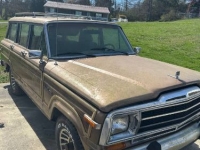 1988 Jeep Grand Wagoneer for sale in Michigan (ID-134505)