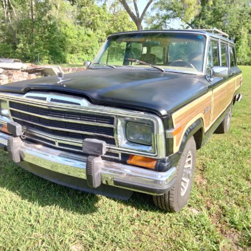 1988 Jeep Grand Wagoneer for sale in Michigan (ID-141526)