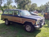 1988 Jeep Grand Wagoneer for sale in Michigan (ID-141526)