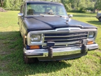 1988 Jeep Grand Wagoneer for sale in Michigan (ID-141526)