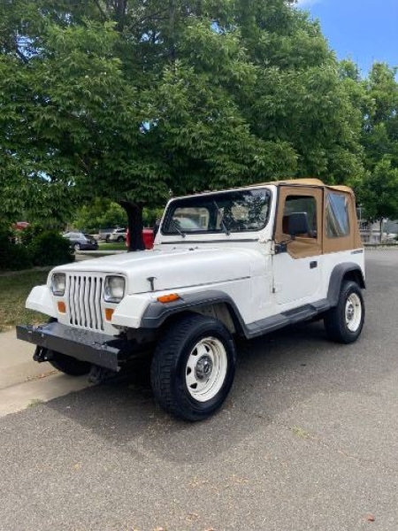 1988 Jeep Wrangler for sale in Michigan (ID-101831)
