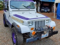 1988 Jeep Wrangler for sale in Michigan (ID-108781)