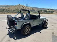1988 Jeep Wrangler for sale in Michigan (ID-130687)
