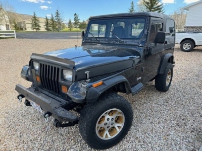 1988 Jeep Wrangler for sale in Michigan