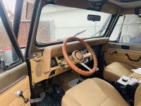 1988 Jeep Wrangler for sale in Michigan (ID-138286)