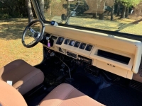 1988 Jeep Wrangler for sale in Michigan (ID-139599)