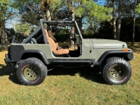 1988 Jeep Wrangler for sale in Michigan (ID-139599)