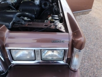 1988 Lincoln Town Car for sale in Michigan (ID-117766)