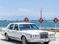 1988 Lincoln Town Car for sale in Michigan (ID-139996)