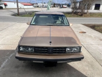 1988 Oldsmobile 98 for sale in Michigan (ID-126144)
