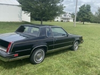 1988 Oldsmobile Cutlass for sale in Michigan (ID-124030)