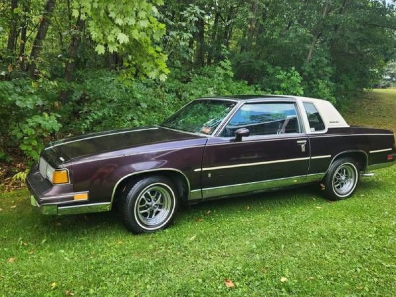 1988 Oldsmobile Cutlass for sale in Michigan (ID-155865)