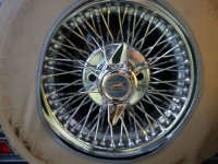 1988 Panther Kallista for sale in Riverhead, New York (ID-125103)