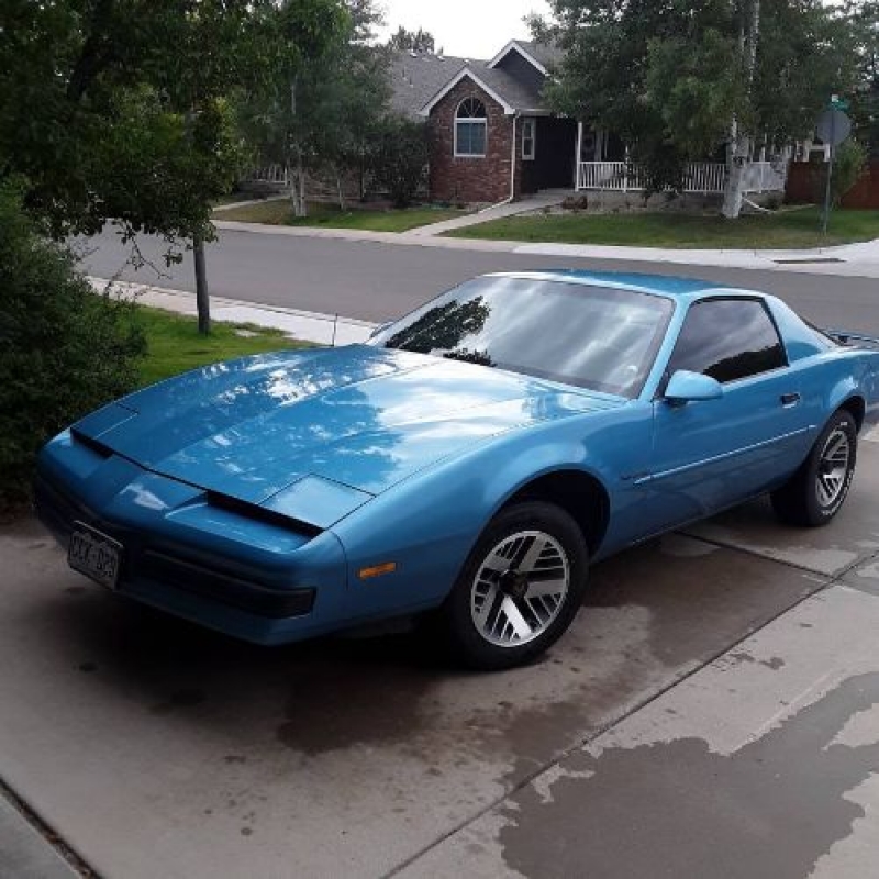 1988 Pontiac Firebird for sale in Michigan (ID-115690)
