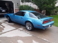 1988 Pontiac Firebird for sale in Michigan (ID-115690)