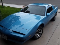 1988 Pontiac Firebird for sale in Michigan (ID-115690)