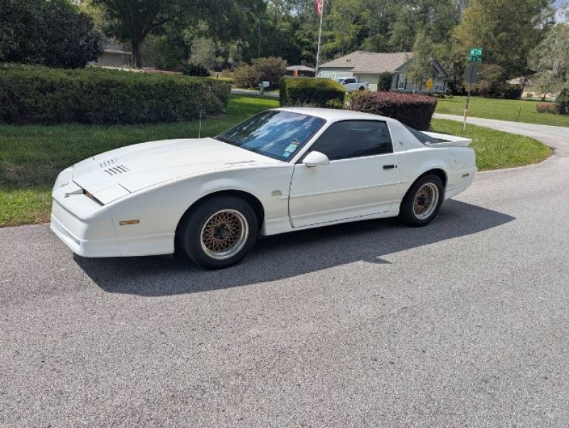 1988 Pontiac Trans Am for sale in Michigan (ID-162561)
