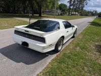 1988 Pontiac Trans Am for sale in Michigan (ID-162561)