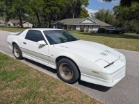 1988 Pontiac Trans Am for sale in Michigan (ID-162561)