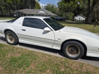1988 Pontiac Trans Am for sale in Michigan (ID-162561)