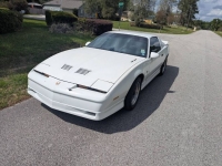 1988 Pontiac Trans Am for sale in Michigan (ID-162561)